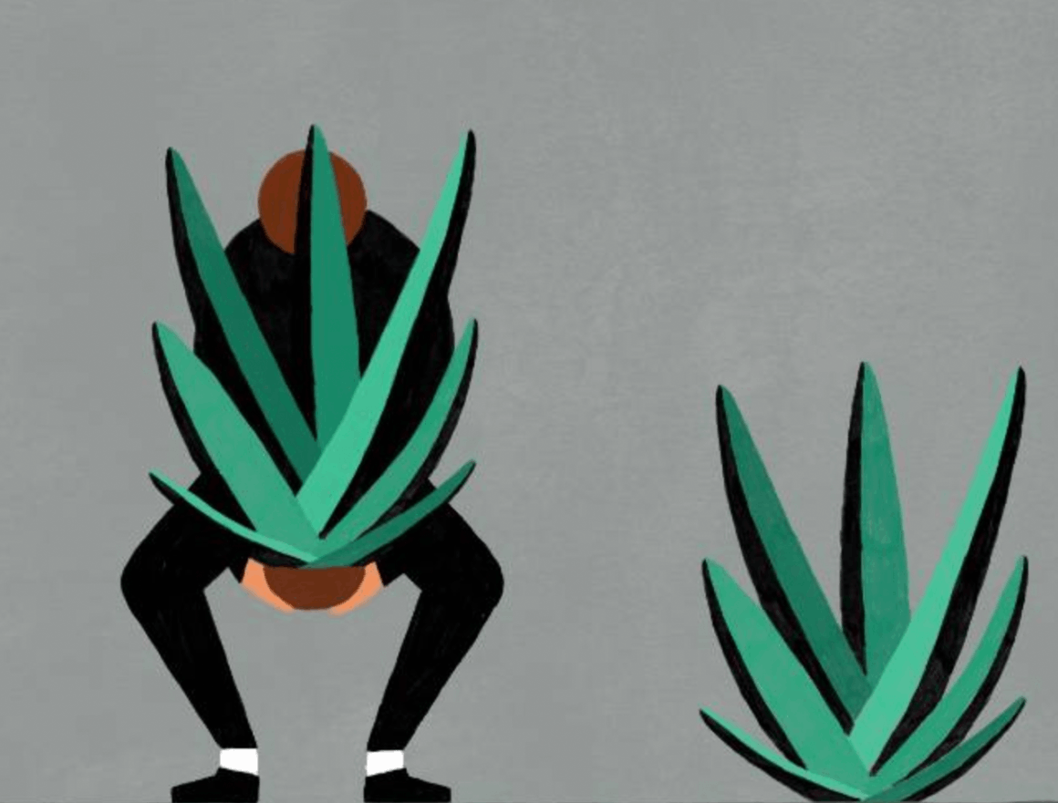 Argos beschermde planten